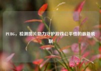 PUBG，检测图片助力守护游戏公平性的最新机制