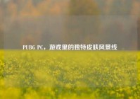 PUBG PC，游戏里的独特皮肤风景线