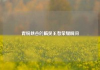青铜峡谷的搞笑王者荣耀瞬间
