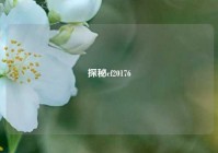探秘cf20176