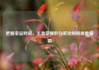 把握幸运时刻，王者荣耀积分奖池时间查看指南