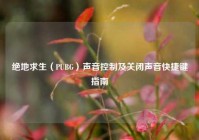 绝地求生（PUBG）声音控制及关闭声音快捷键指南