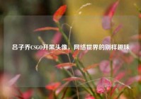 吕子乔CSGO开黑头像，网络世界的别样趣味