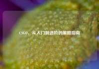 CSGO，从入门到进阶的策略指南