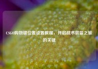 CSGO购物键位置设置教程，开启战术装备之旅的关键