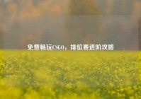 免费畅玩CSGO，排位赛进阶攻略