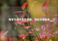 畅享无插件曼联直播，开启足球盛宴