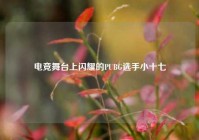 电竞舞台上闪耀的PUBG选手小十七