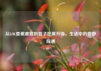 从LOL香蕉喂猴到猴子吃蕉升级，生活中的奇妙际遇
