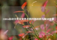 COD16自动卡死及突然卡顿问题剖析与解决探索