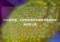 PUBG海外服，从吃鸡热潮到全球电竞版图的出海进阶之路