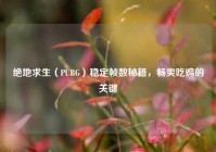 绝地求生（PUBG）稳定帧数秘籍，畅爽吃鸡的关键