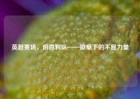 英超赛场，伯恩利队——徽章下的不屈力量