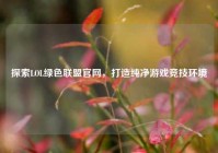 探索LOL绿色联盟官网，打造纯净游戏竞技环境