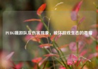 PUBG端游队友伤害现象，破坏游戏生态的毒瘤