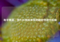 和平精英，类PUBG竞技体验的稳定性调节指南