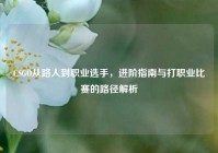 CSGO从路人到职业选手，进阶指南与打职业比赛的路径解析
