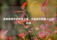 贵阳普瑞学校旁巷子里，当爽爽的风遇上PUBG的热