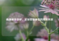 南美解放者杯，足球荣耀象征的奖杯风采