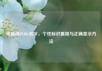 电脑端PUBG名字，个性标识展现与正确显示方法