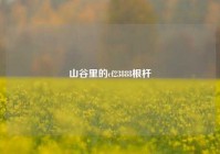 山谷里的cf23888根杆