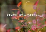 使用加速器，畅玩COD16升级游戏体验