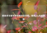 绝地求生账号申诉解封全攻略，重燃pubg吃鸡热血