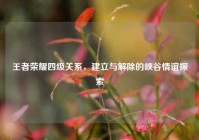 王者荣耀四级关系，建立与解除的峡谷情谊探索