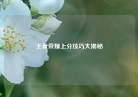 王者荣耀上分技巧大揭秘