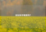 你玩和平精英吗？