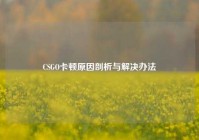 CSGO卡顿原因剖析与解决办法