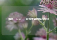 揭秘，Steam——游戏世界的核心枢纽