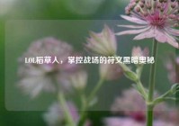LOL稻草人，掌控战场的符文黑暗奥秘