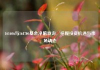 161606与161706基金净值查询，把握投资机遇与市场动态