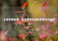 王者荣耀貂蝉，魅惑舞者的战局掌控与控制打法