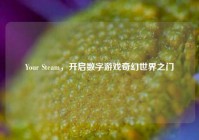 Your Steam，开启数字游戏奇幻世界之门