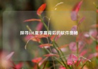 探寻LOL夏季赛背后的软件奥秘