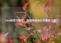 CSGO修改刀模型，违规风险与公平竞技之思