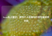 Steam私人模式，探寻个人设置与打造专属游戏空间