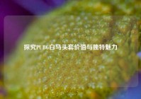 探究PUBG白马头套价值与独特魅力