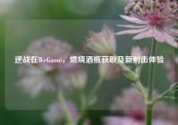 逆战在WeGame，燃烧酒瓶获取及新射击体验
