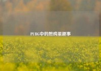 PUBG中的煎鸡蛋趣事
