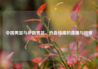 中国男篮与伊朗男篮，热血碰撞的直播与回放