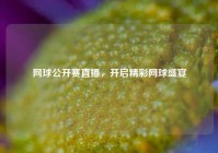 网球公开赛直播，开启精彩网球盛宴