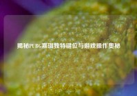 揭秘PUBG嘉琪独特键位与游戏操作奥秘