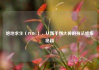 绝地求生（PUBG），从新手到大神的身法修炼秘籍