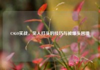 CSGO实战，见人打头的技巧与被爆头困境