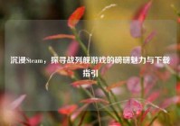 沉浸Steam，探寻战列舰游戏的磅礴魅力与下载指引