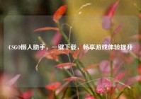 CSGO懒人助手，一键下载，畅享游戏体验提升