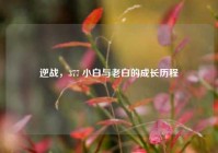 逆战，377 小白与老白的成长历程